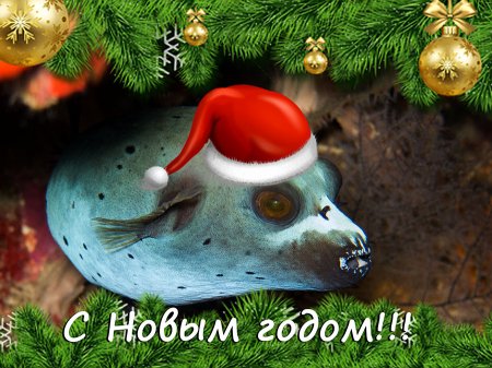 � ����� 2018 �����!